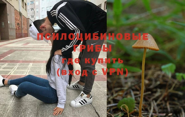 ALPHA PVP Арсеньев
