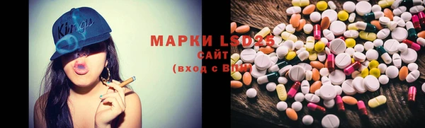 PSILOCYBIN Аркадак