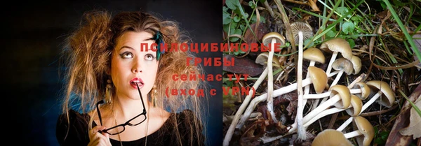 PSILOCYBIN Аркадак