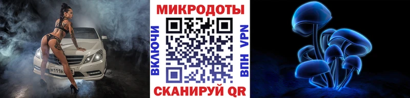 Псилоцибиновые грибы Cubensis Аркадак