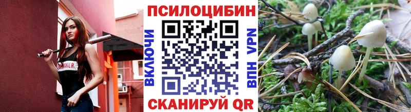Галлюциногенные грибы мухоморы Аркадак
