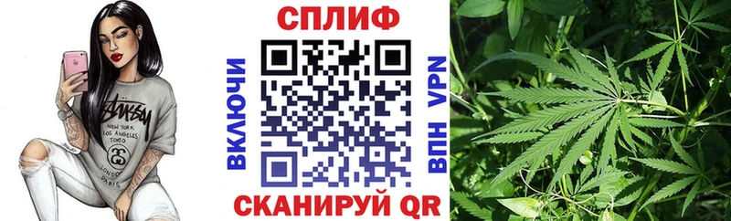 blacksprut зеркало  Аркадак  Каннабис LSD WEED 